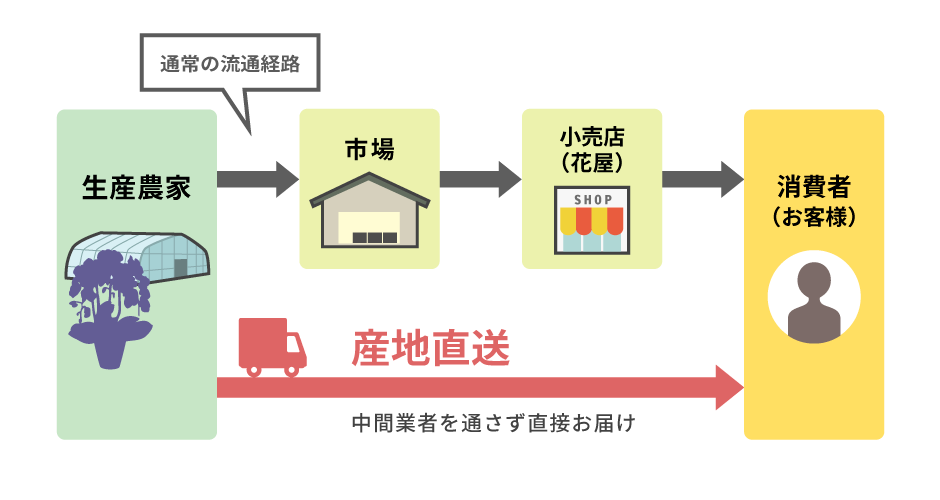 通常の流通経路と産地直送の比較