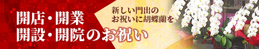 開店・開業・開設・開院のお祝い